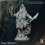 pingvi shaman archvillaingames arch2017 3.jpg