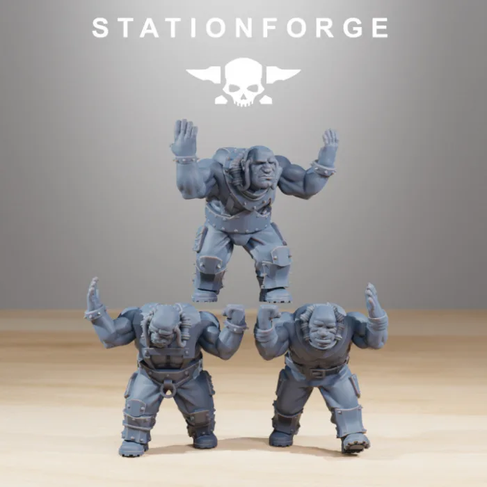 royalguard royals stationforge stfg0203 4.jpg